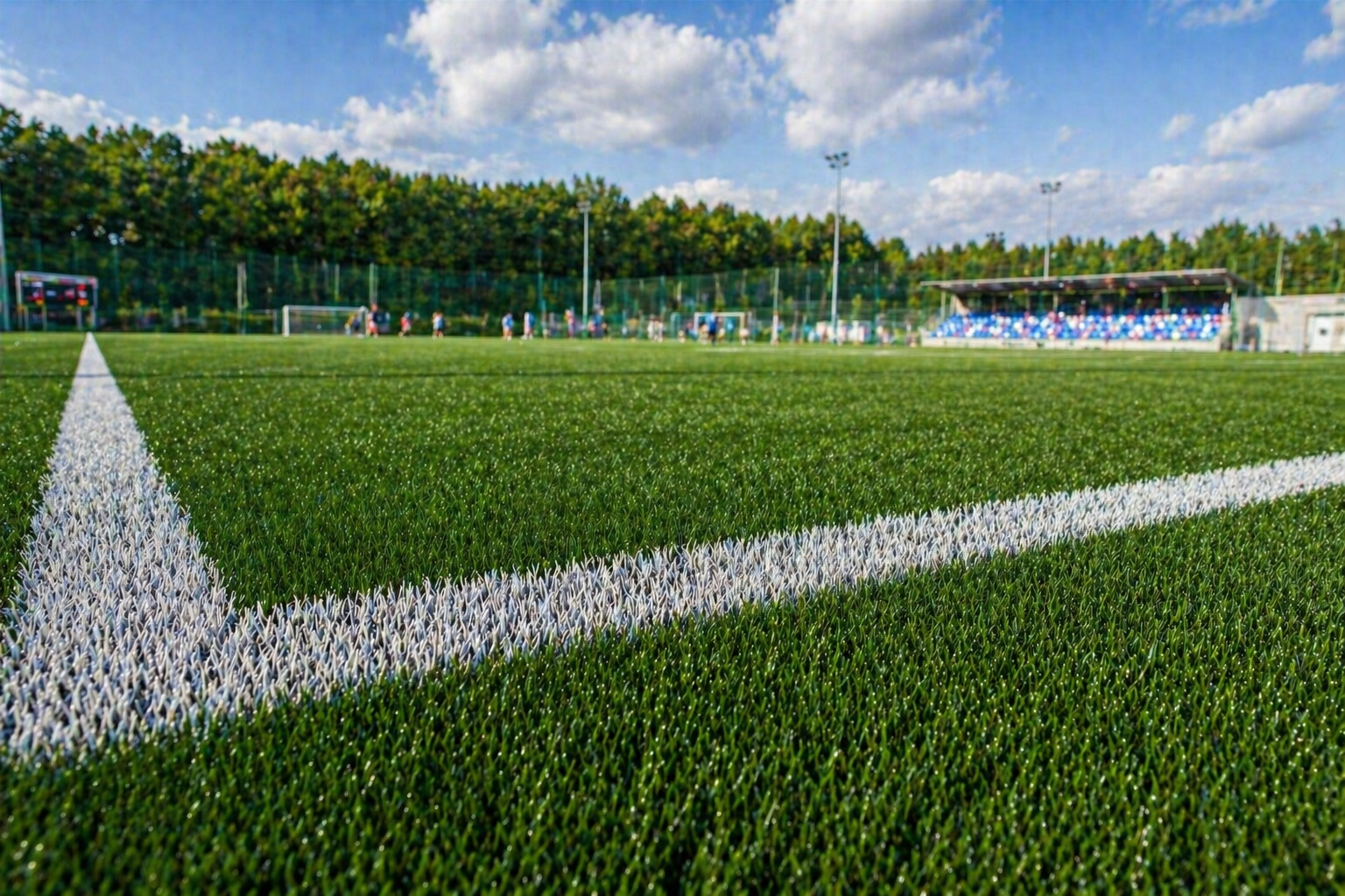 Panda Grass Arena 40